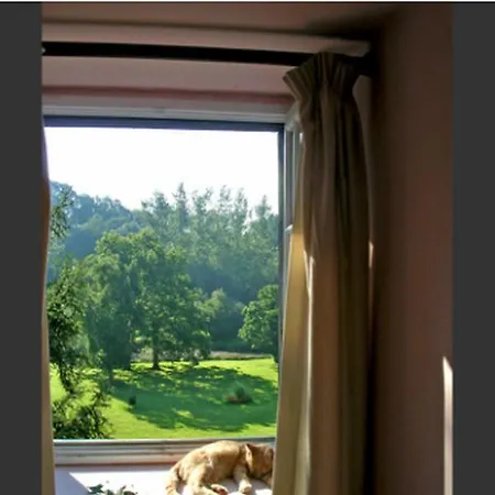 Bed & Breakfast Chambres D'hotes La Baudriere Livaie