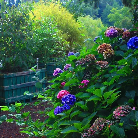 Chambres D'hotes La Baudriere