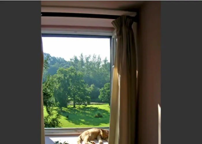 Bed & Breakfast Chambres D'hotes La Baudriere Livaie