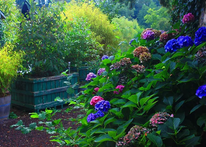 Chambres D'hotes La Baudriere